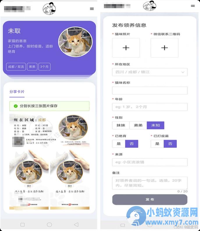 流浪猫流浪狗领养源码
